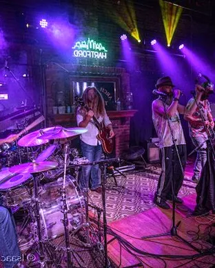 Bearly Dead - Grateful Dead Tribute Portland