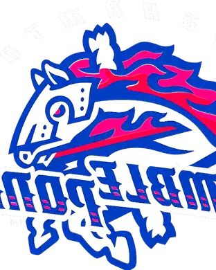 Binghamton Rumble Ponies Portland