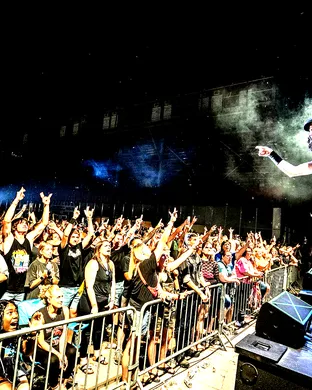 Hairball Portland