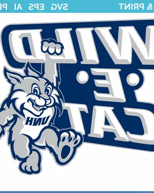 New Hampshire Wildcats vs. Stony Brook Seawolves