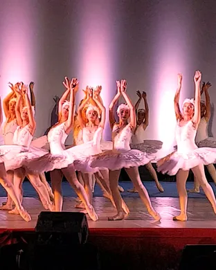 Swan Lake Portland