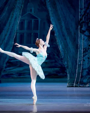 The Sleeping Beauty - Ballet Rochester