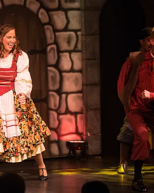 Young Frankenstein Rochester